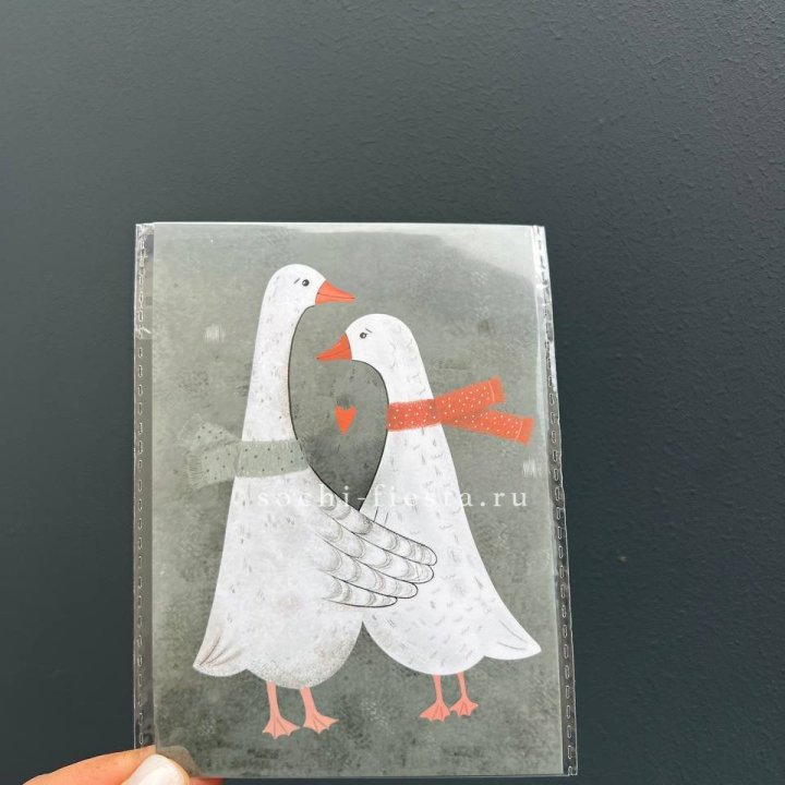 Открытка к букету "Гуси” в Вологде