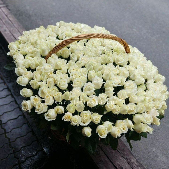 303 розы в корзине в Вологде