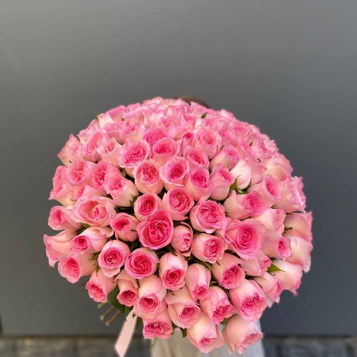 101 розовая роза в Вологде