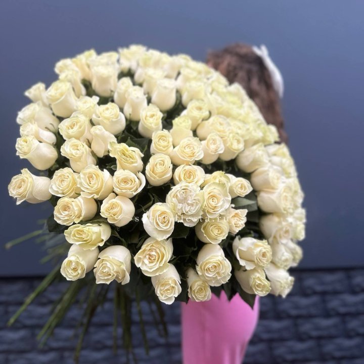 101 белая высокая импортная роза под ленту в Вологде