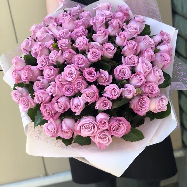 71 розовая роза "Маритим" в Вологде