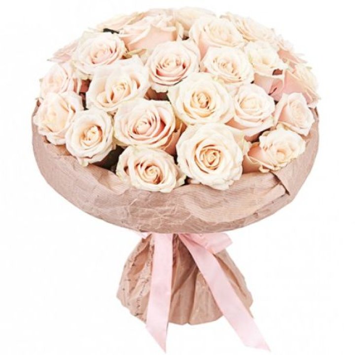 25 кремовых роз "Craft" в Вологде