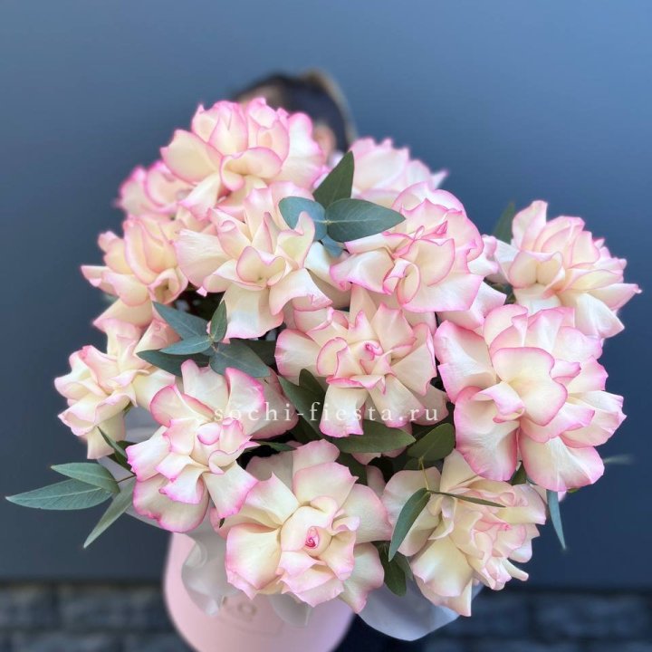 15 Французских роз Джумилия в боксе в Вологде