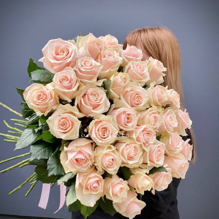 35 кремовых высоких роз в Вологде