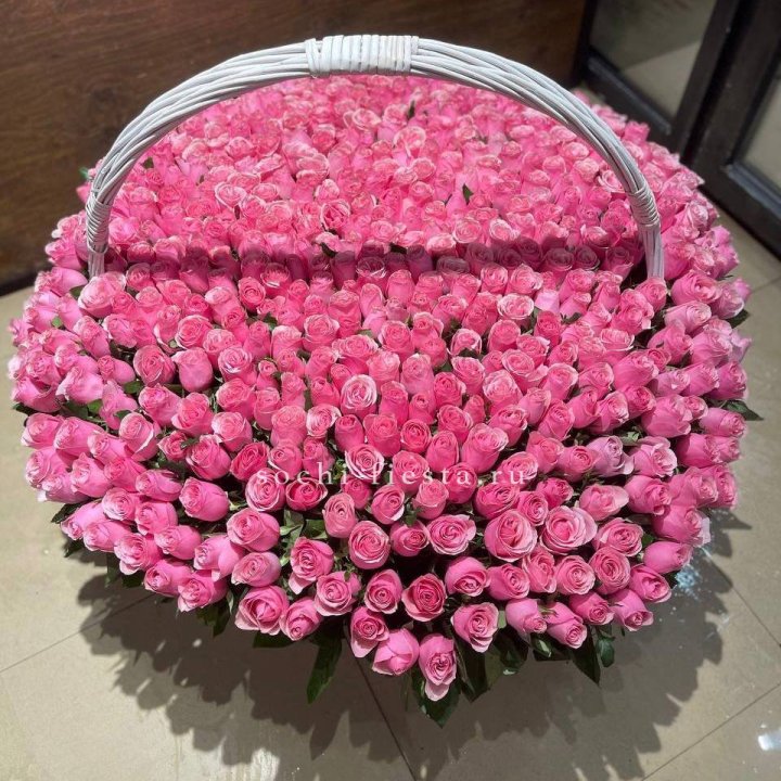 501 розовая роза в Вологде