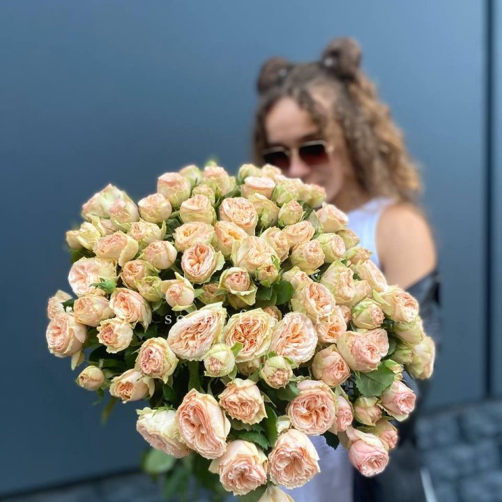 25 пионовидных роз в Вологде