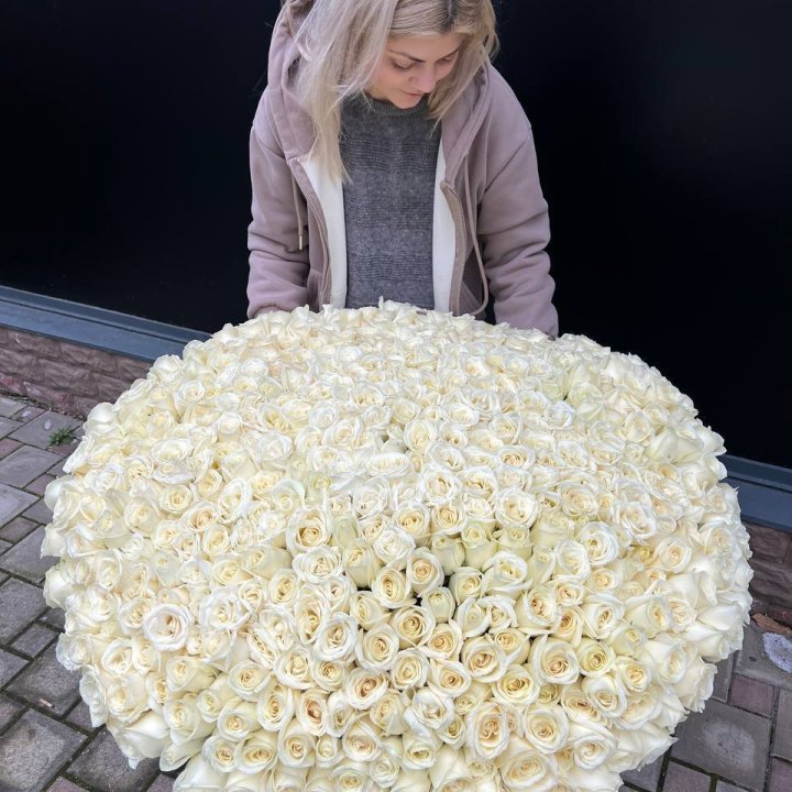 501 белая роза в корзине в Вологде