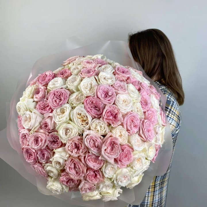 101 роз Охара в Вологде