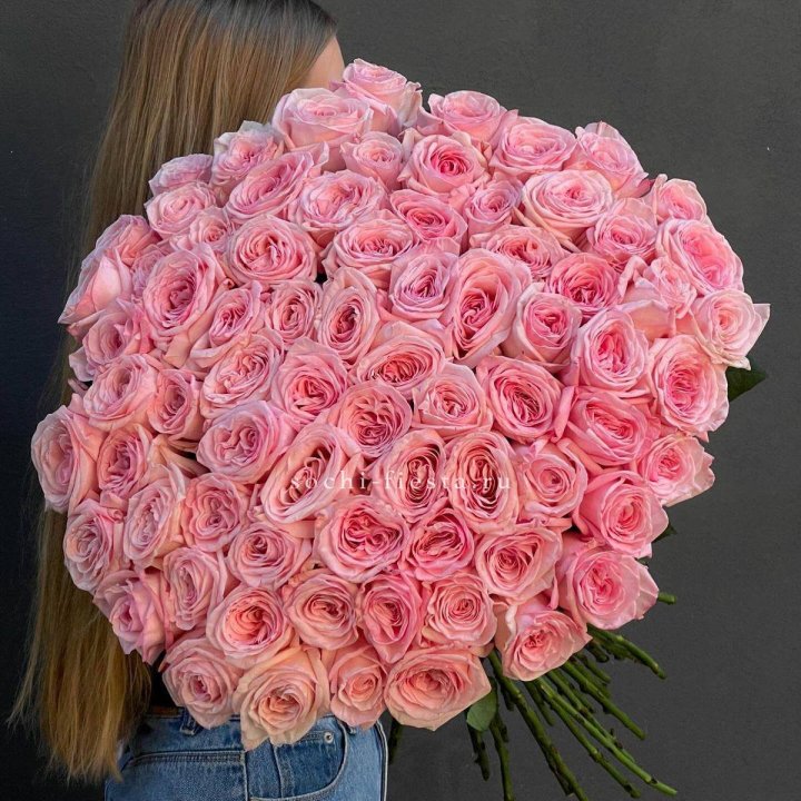 75 роз Охара в Вологде