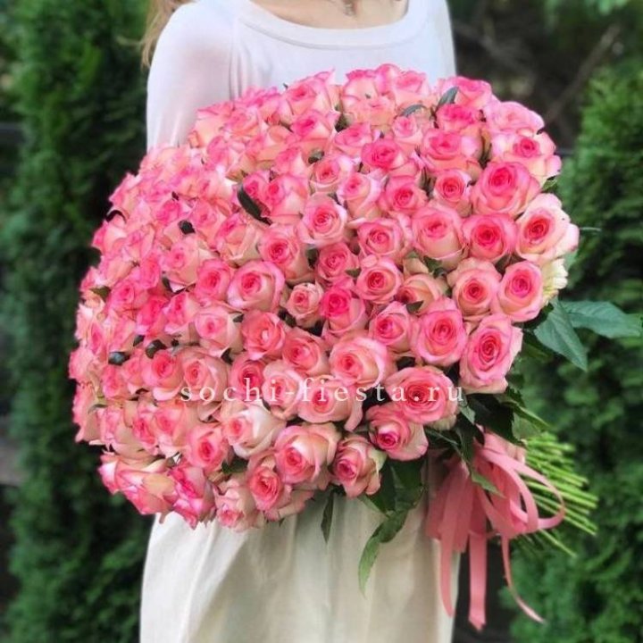 101  джумилия роза  в Вологде