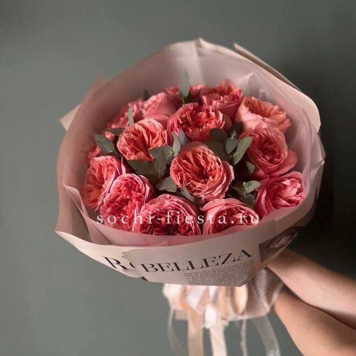 15 Пинк экспрешен в Вологде