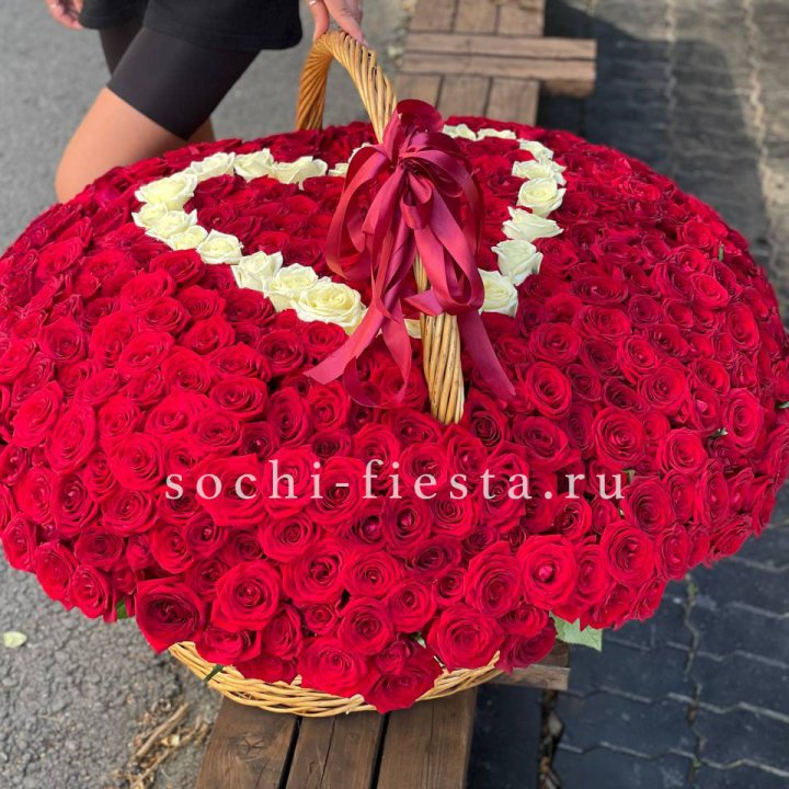 505 роз в Вологде