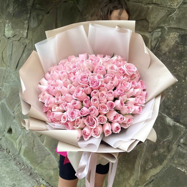 101 нежно-розовая роза Каролина  в Вологде