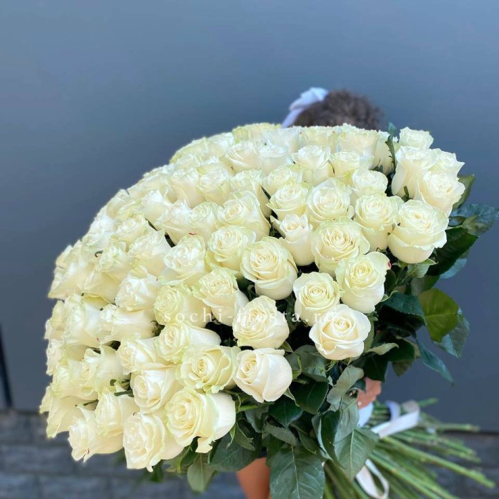 101 белая высокая роза в Вологде