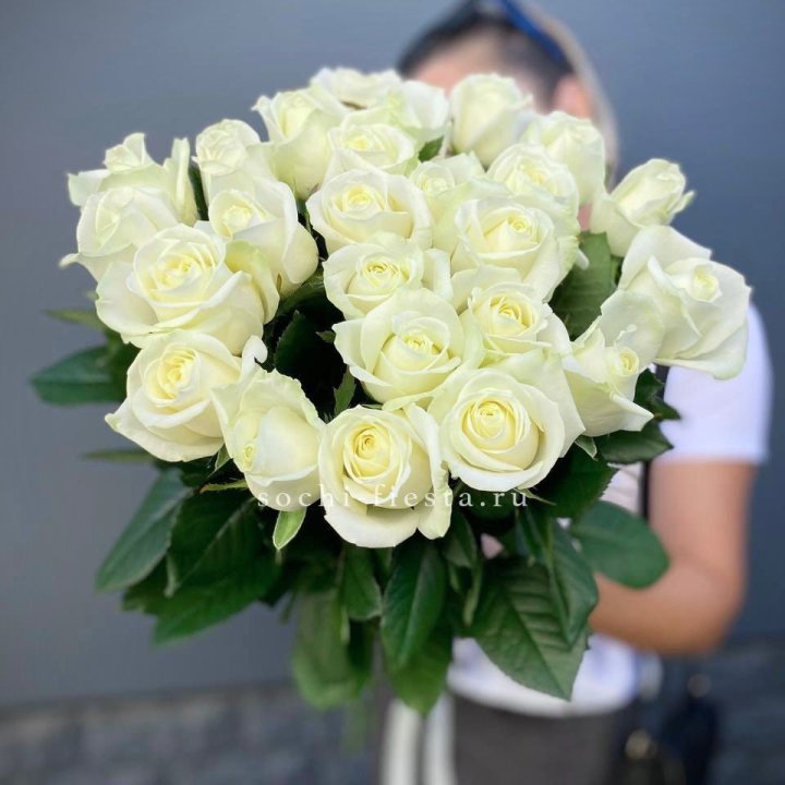 Голландские розы белые 25 в Вологде