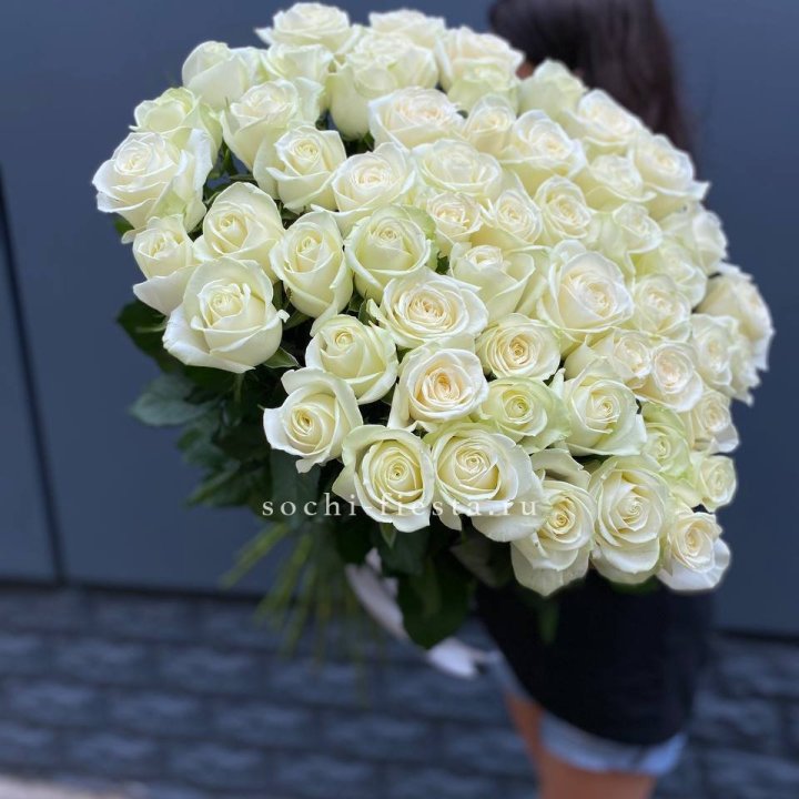 51 белоснежная высокая роза в Вологде