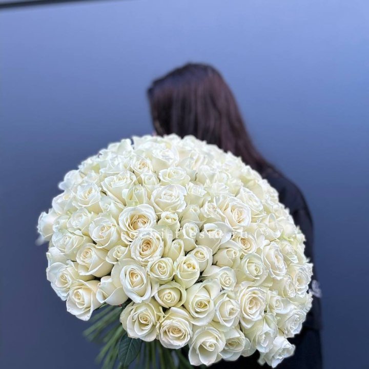 Охапка из 101 белой розы  в Вологде