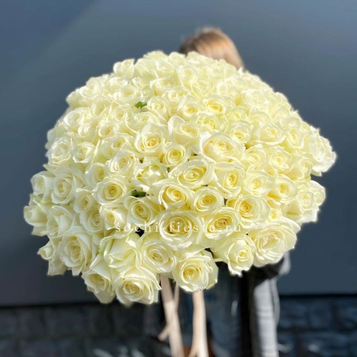 Букет  из 101 белой розы  в Вологде