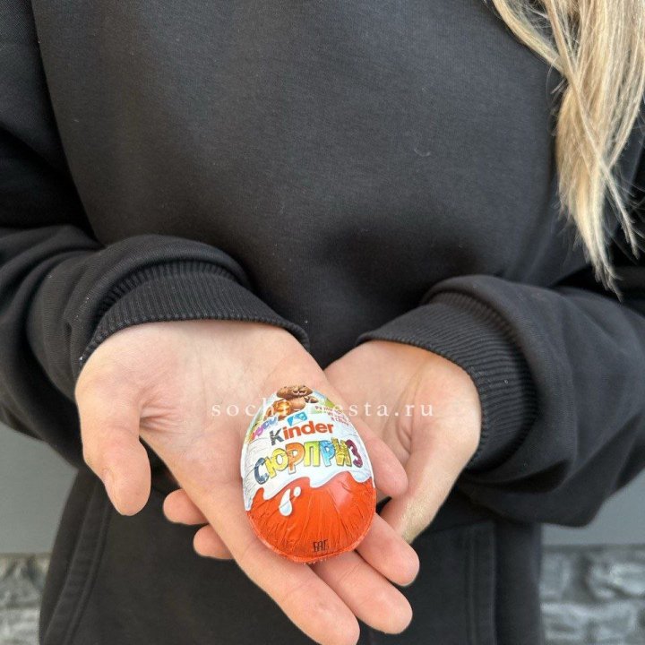 Яйцо "Киндер Сюрприз" в Вологде