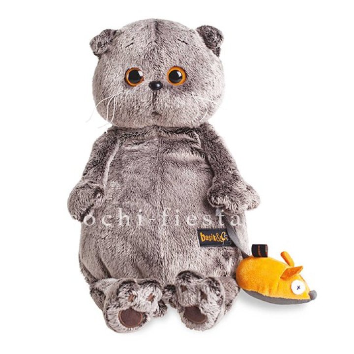 Кот Басик с мышкой в Вологде