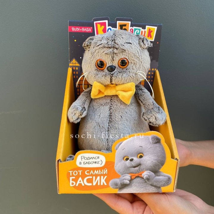 Кот Басик с бабочкой в Вологде