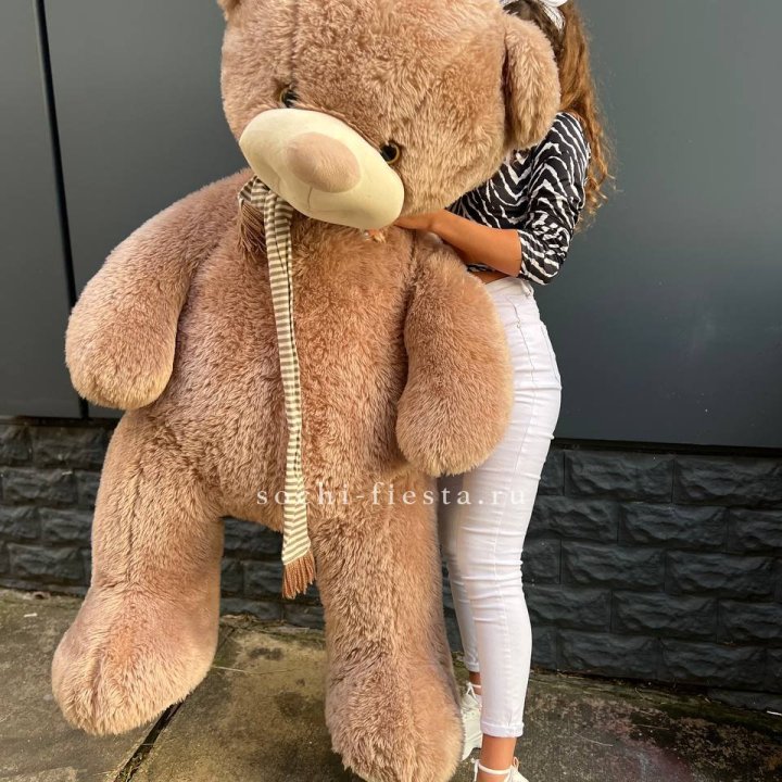Плюшевый мишка большой в Вологде