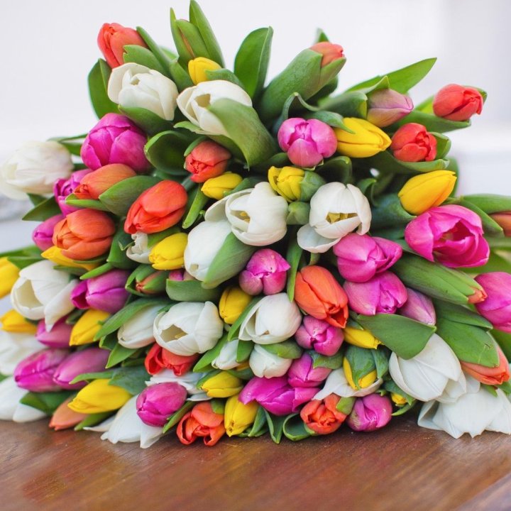 79 тюльпанов "Рандом" в Вологде