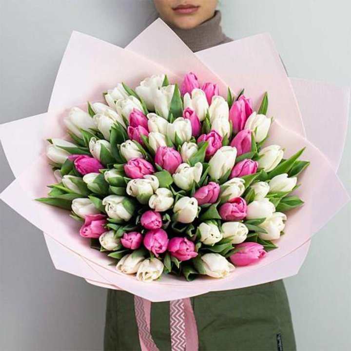 61 бело-розовый тюльпан в Вологде