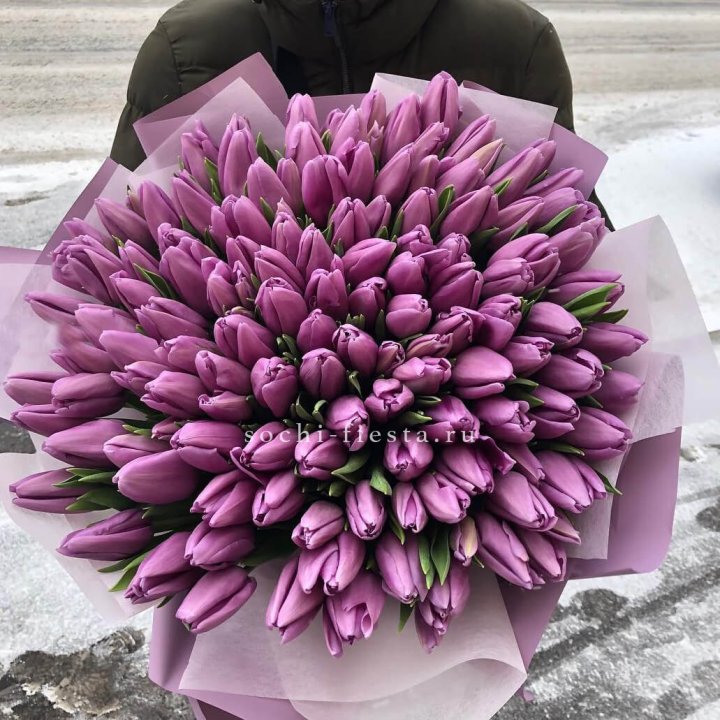 101 сиреневый тюльпан в Вологде