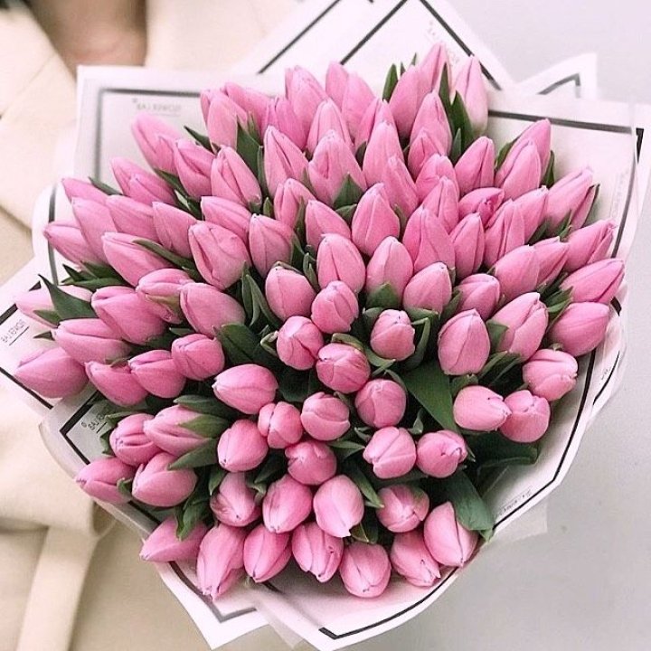 101 розовый тюльпан в белом в Вологде