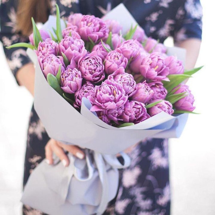 Тюльпаны "Пионс" в Вологде