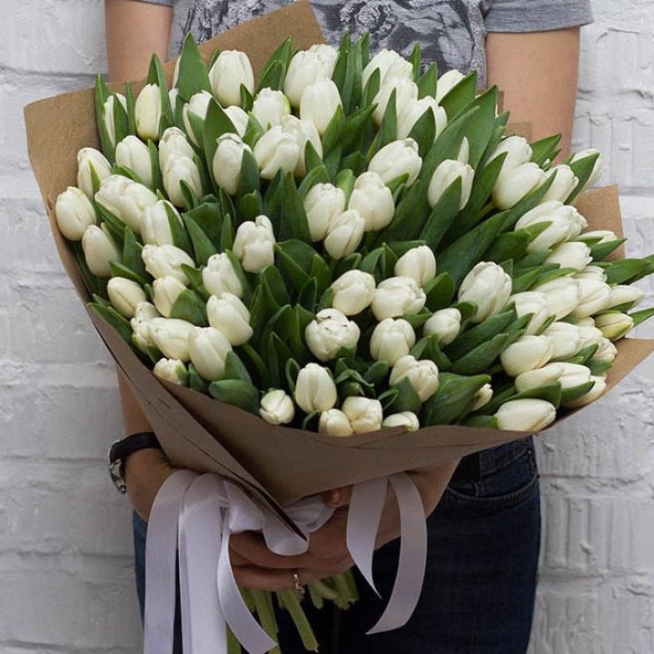 101 тюльпан сноу в Вологде