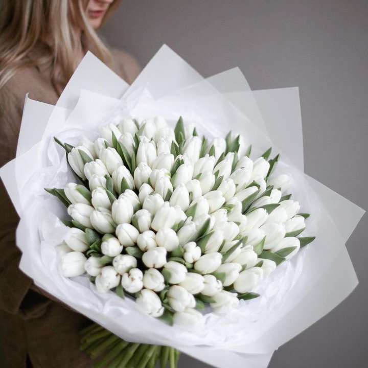 101 белый тюльпан в Вологде