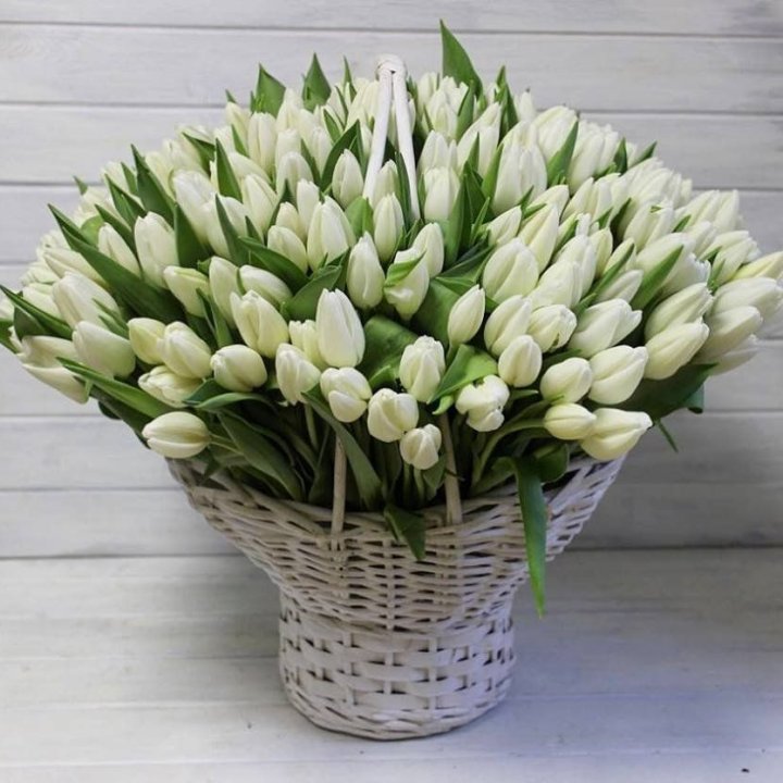 Корзина из 151 тюльпана в Вологде