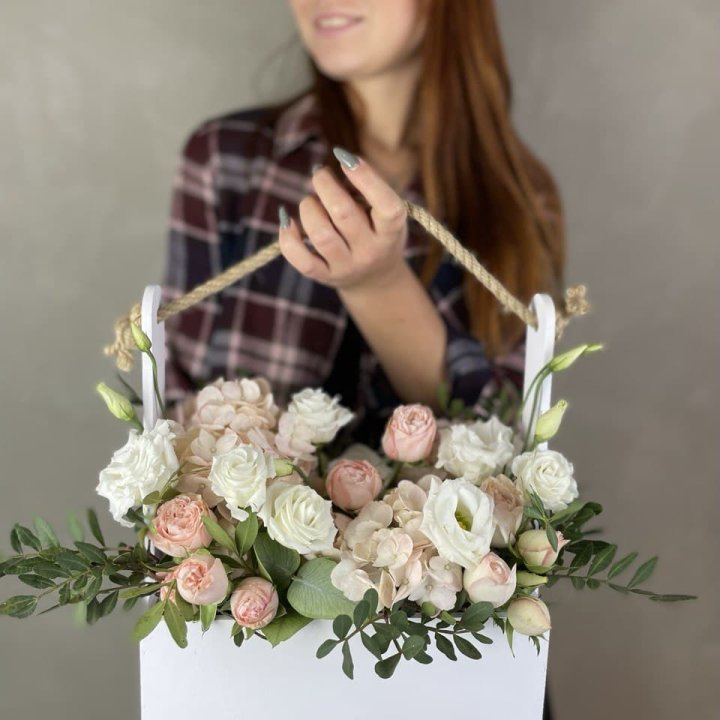 Ящик бокс нежный в Вологде